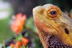 ケノンで髭の脱毛効果がない理由とは？