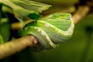 産後の抜け毛はいつから始まるの？