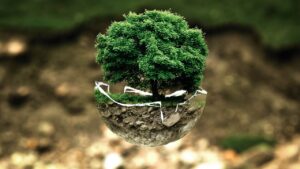 家庭用脱毛器の効果が出やすい部位ランキングは？