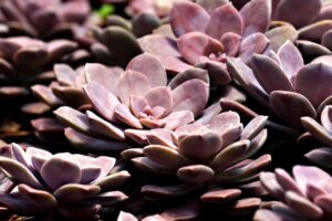 家庭用脱毛器の本体の手入れで故障予防はどうすればいい？