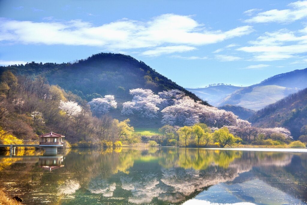 家庭用脱毛器を旅行前にやる最適タイミングはいつ？
