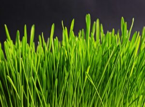 家庭用脱毛器の出力が落ちた気がする原因は何ですか？