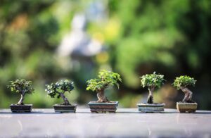 家庭用脱毛器の効果は本当？口コミからわかるリアルな体験とは？